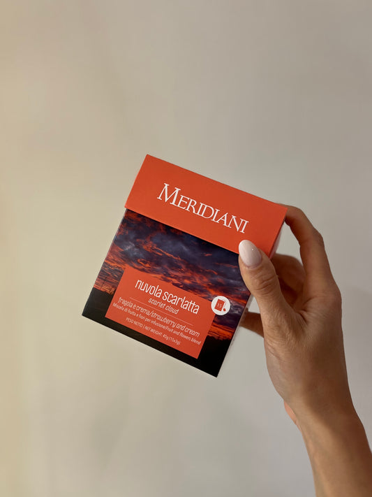 INFUSO “NUVOLA SCARLATTA” FRAGOLA & CREMA 15 FILTRI