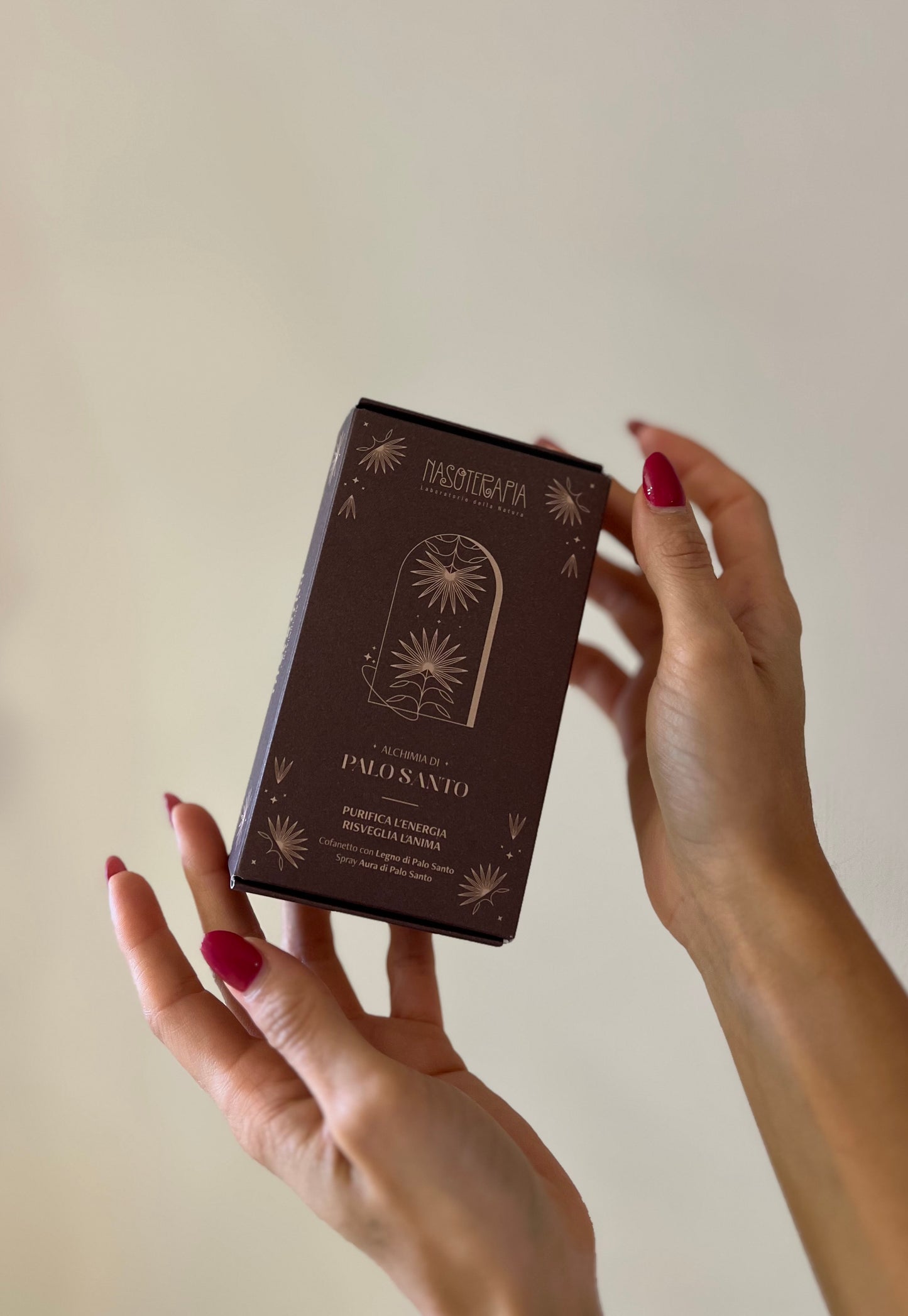 COFANETTO AURA - 2 PALO SANTO & SPRAY PER AMBIENTI