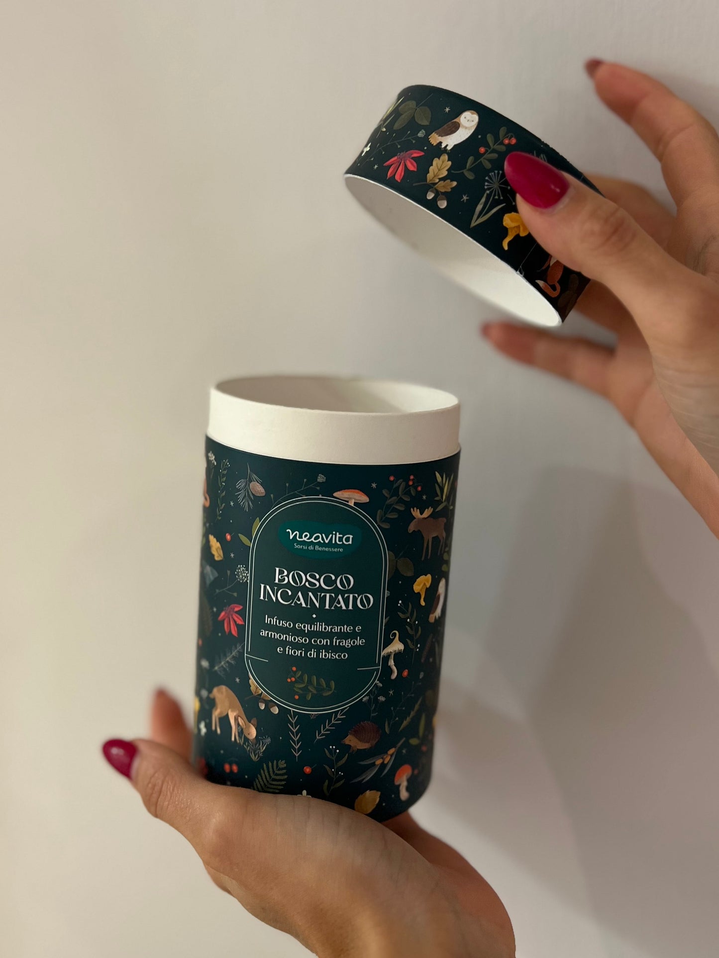 SCATOLA CILINDRO-BOSCO INCANTATO 10 FILTROSCRIGNO