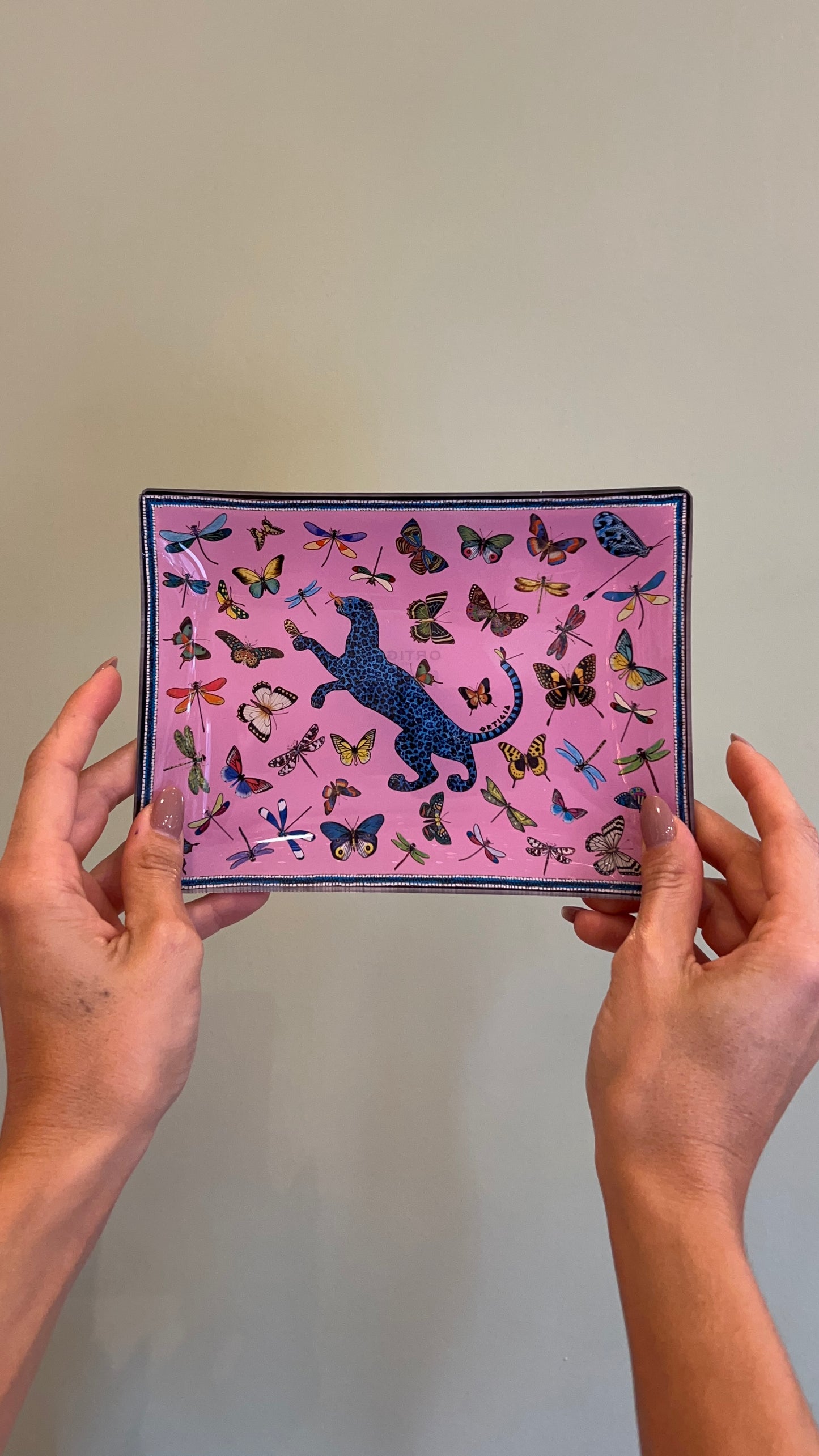 SCATOLA DI LATTA 4 PIATTINI IN VETRO ORTIGIA