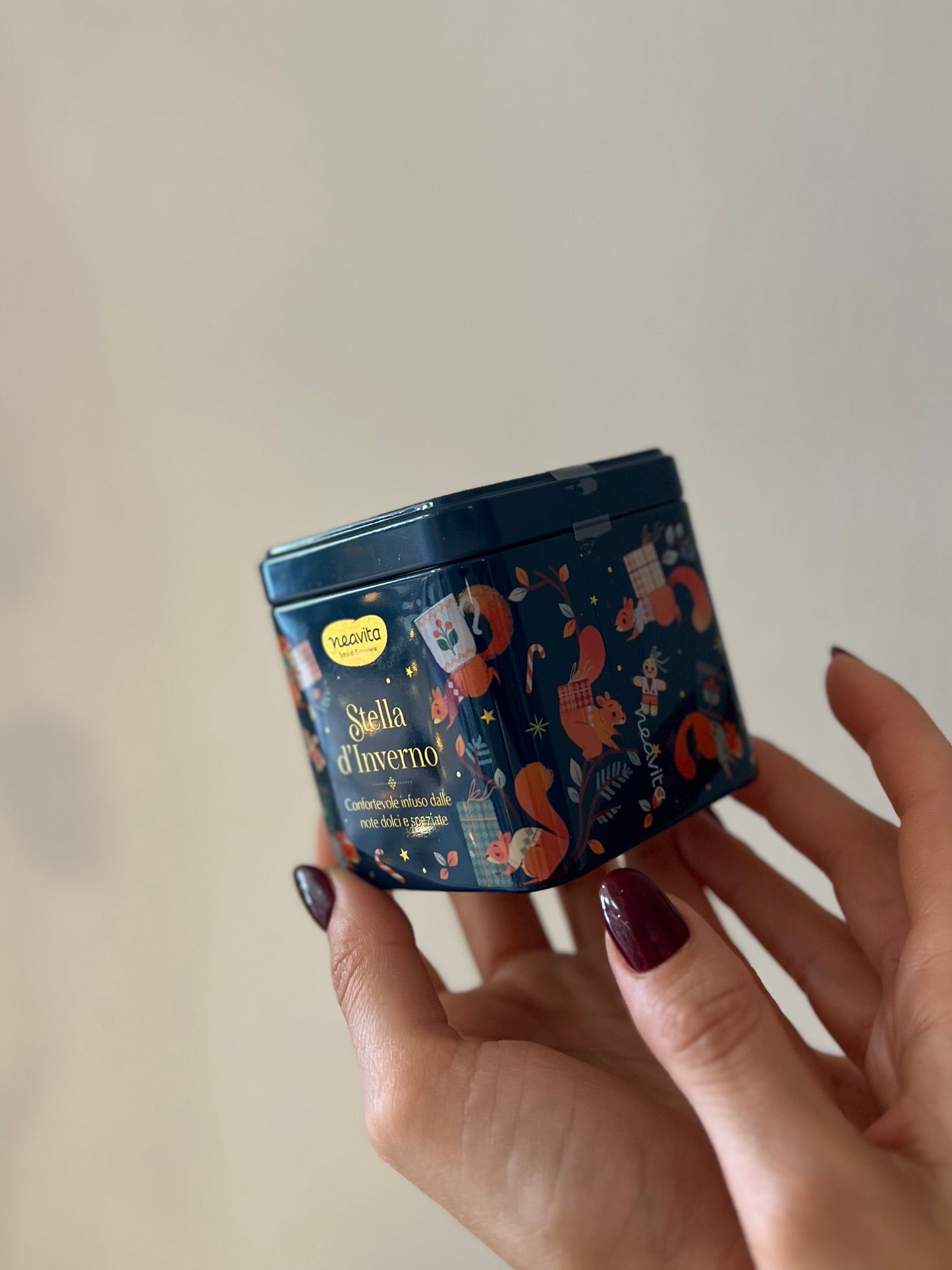 BARATTOLINO CADDY BLU CON INFUSO "STELLA D'INVERNO"