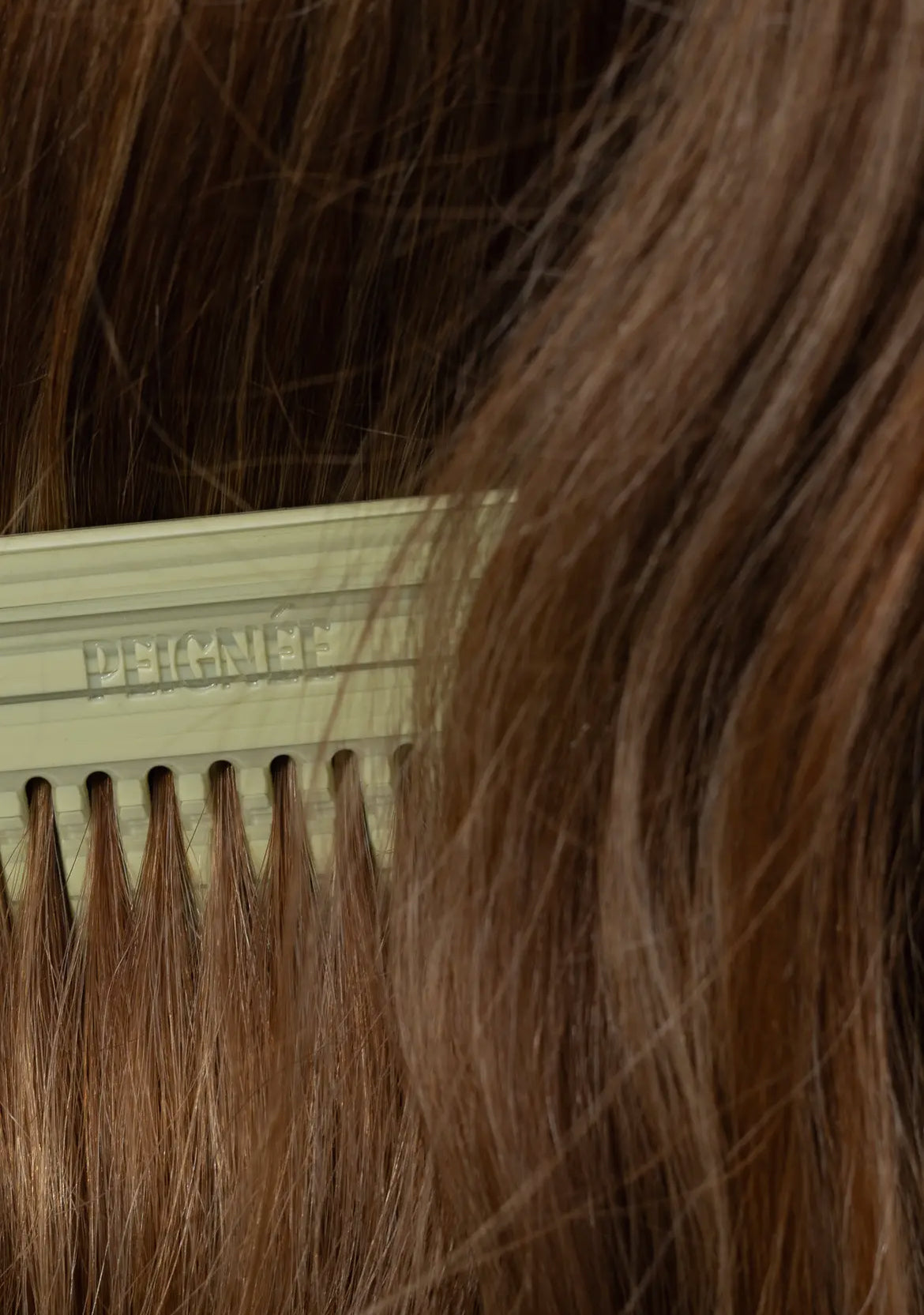 PETTINE DA VIAGGIO FIRMATO PEIGNÉE-SALVIA