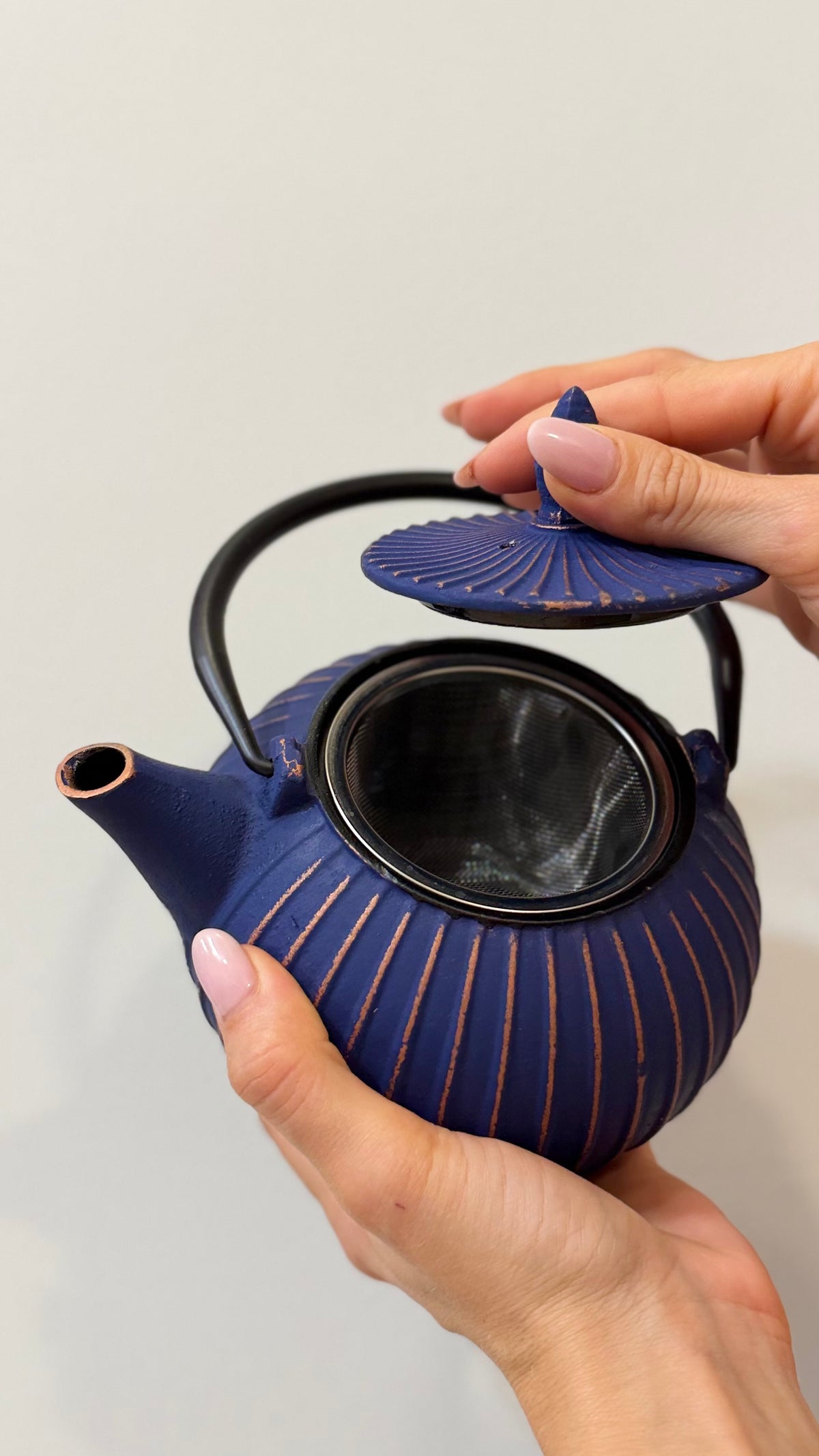 TEIERA IN GHISA, Nago Blu 800ml