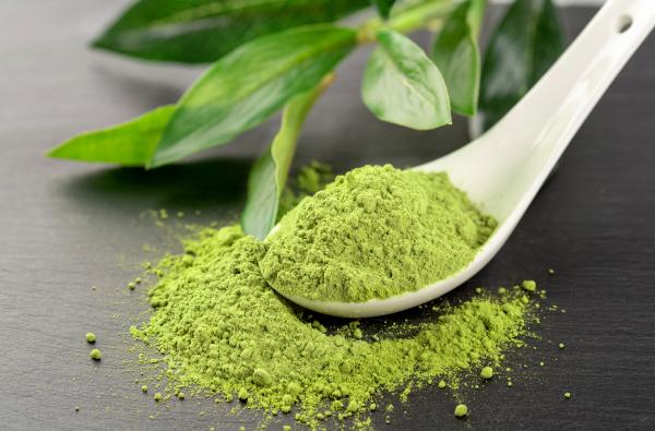 THE MATCHA BIO polvere - coltivata in Giappone