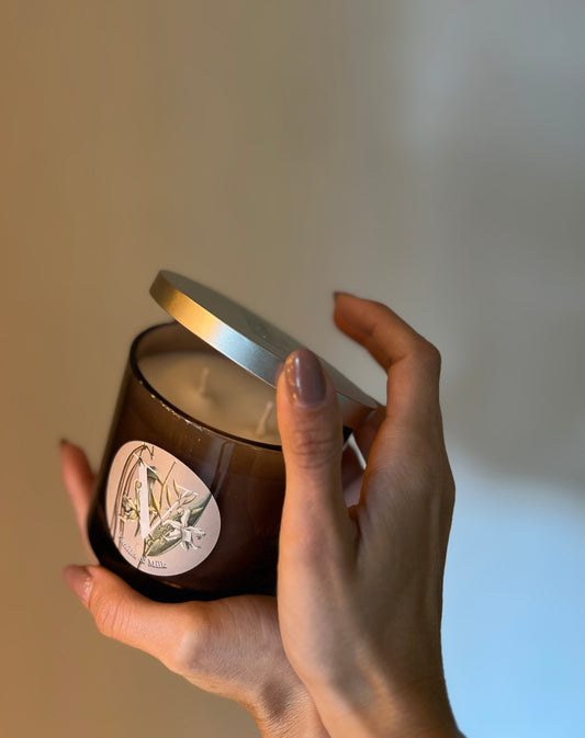 CANDELA VANILLA & MILK