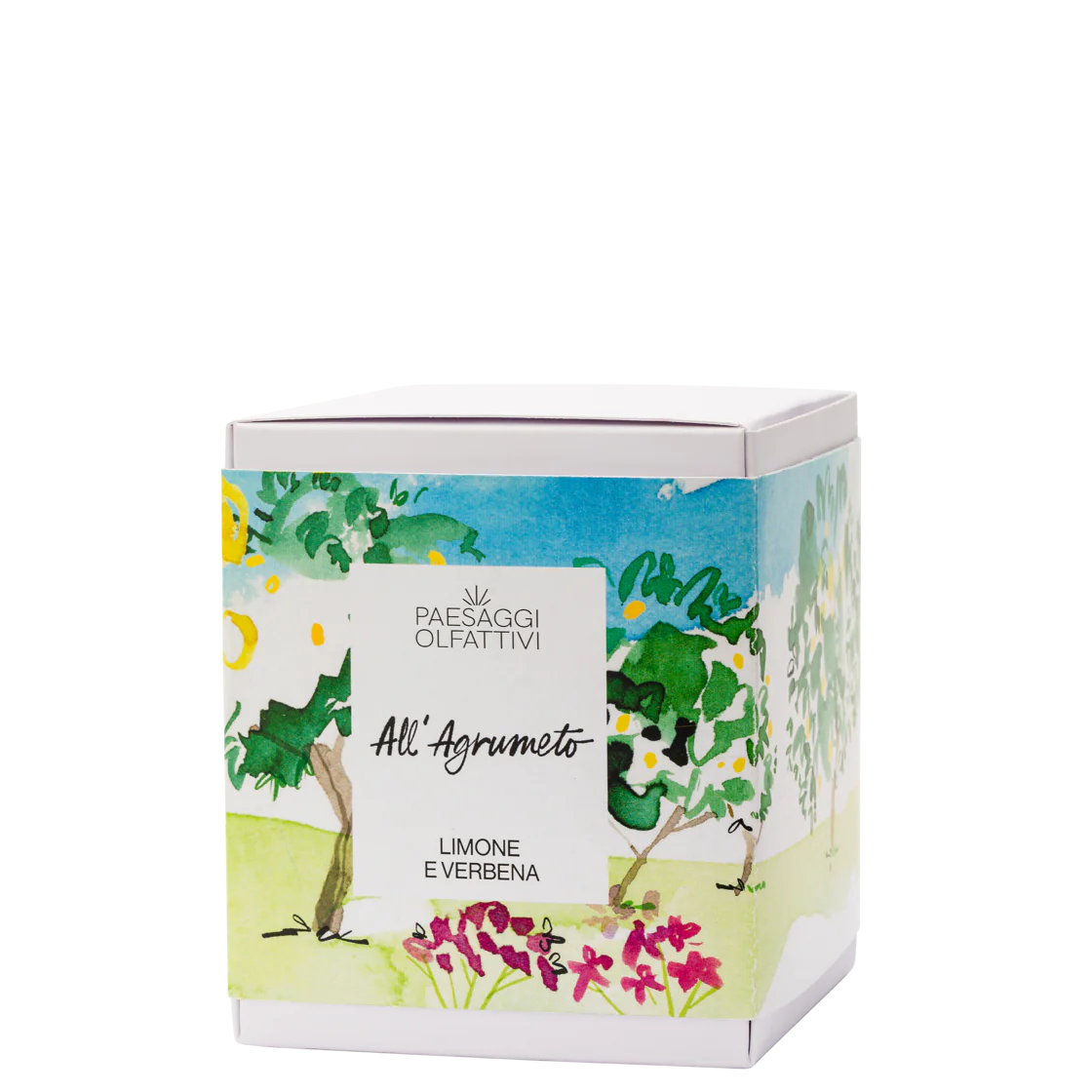 DIFFUSORE D’AMBIENTE ALL’AGRUMETO