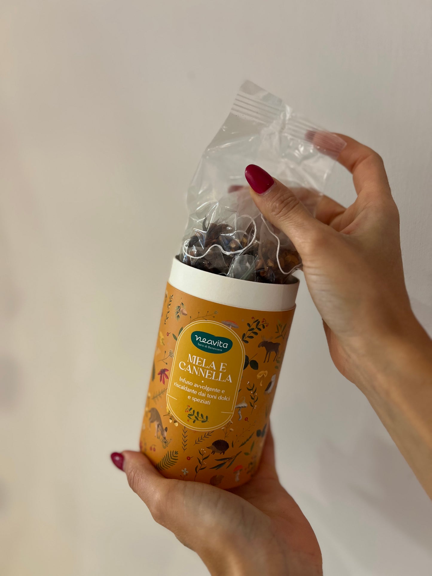 SCATOLA CILINDRO-MELA E CANNELLA 10 FILTROSCRIGNO