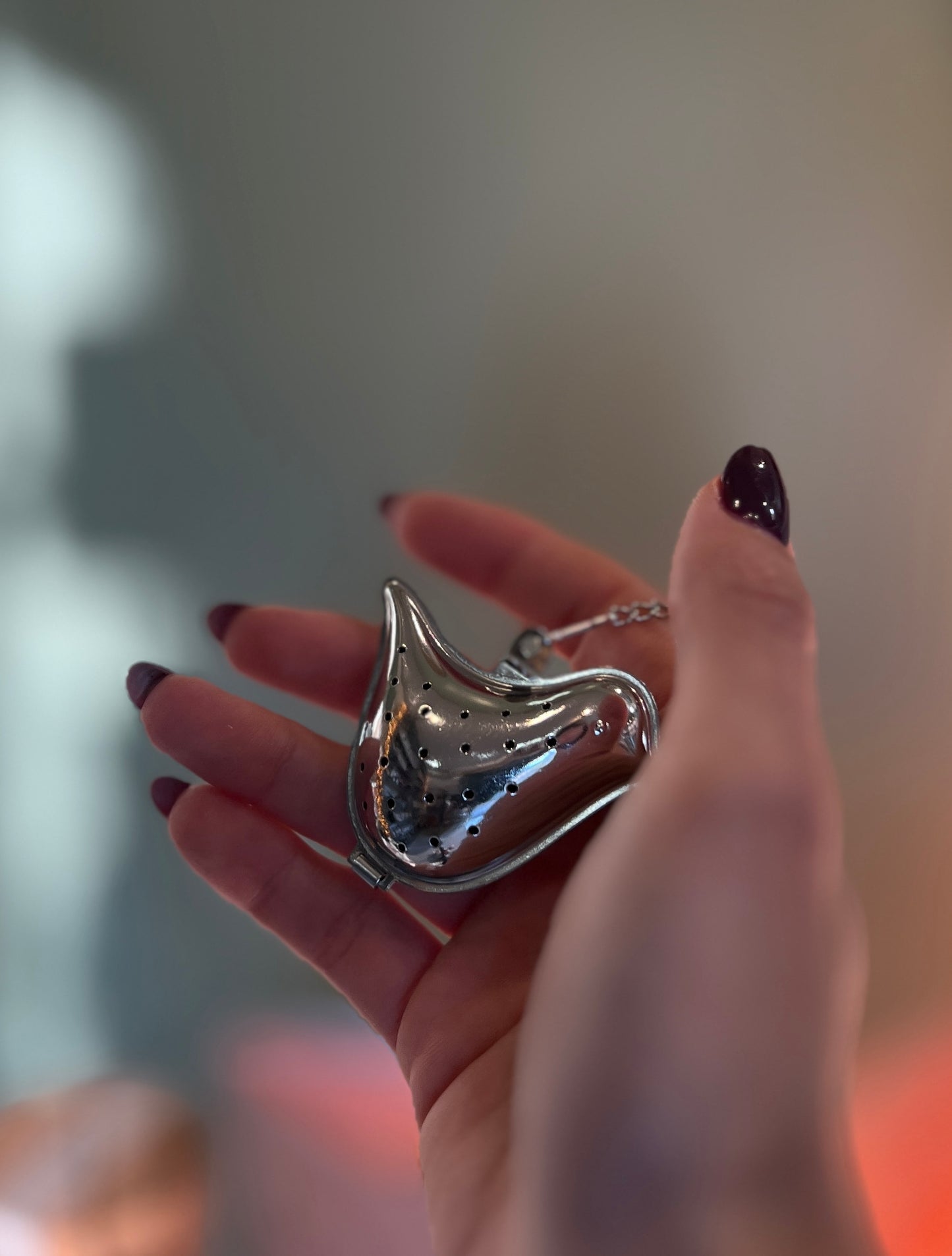 FILTRO PER TE E INFUSI UCCELLINO