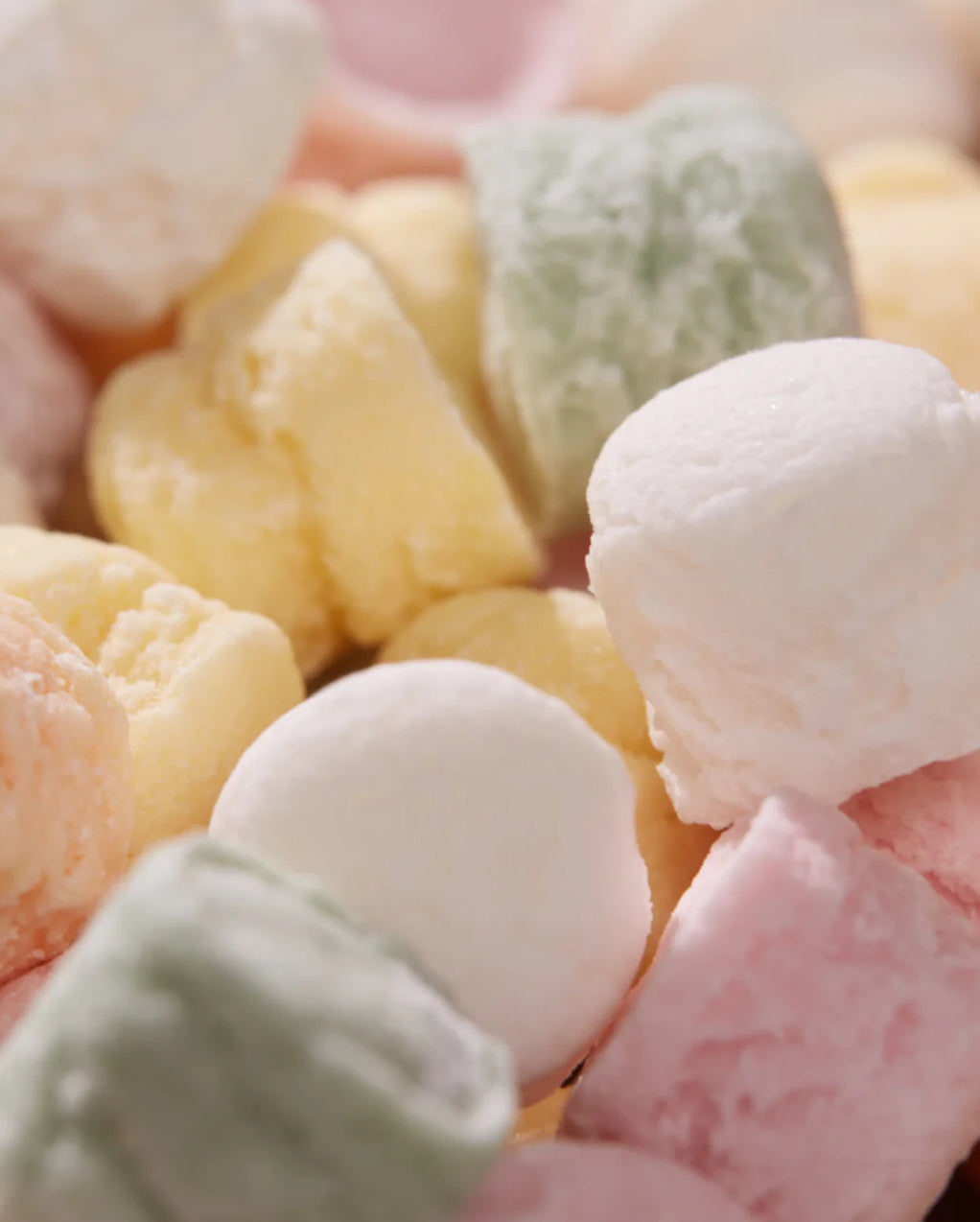 PASTIGLIE MISTE DISSETANTI LEONE