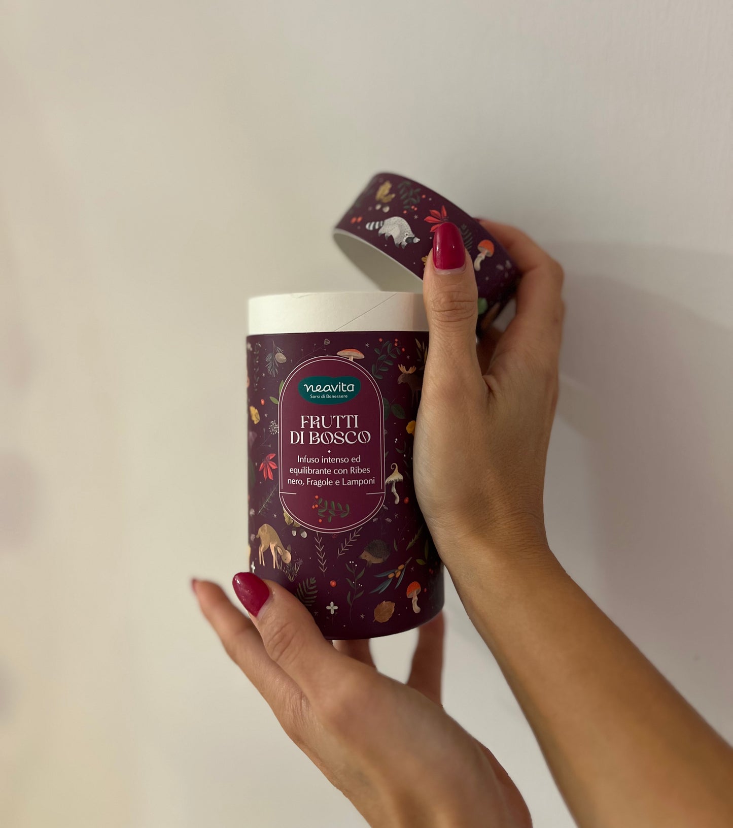 SCATOLA CILINDRO-FRUTTI DI BOSCO 10 FILTROSCRIGNO