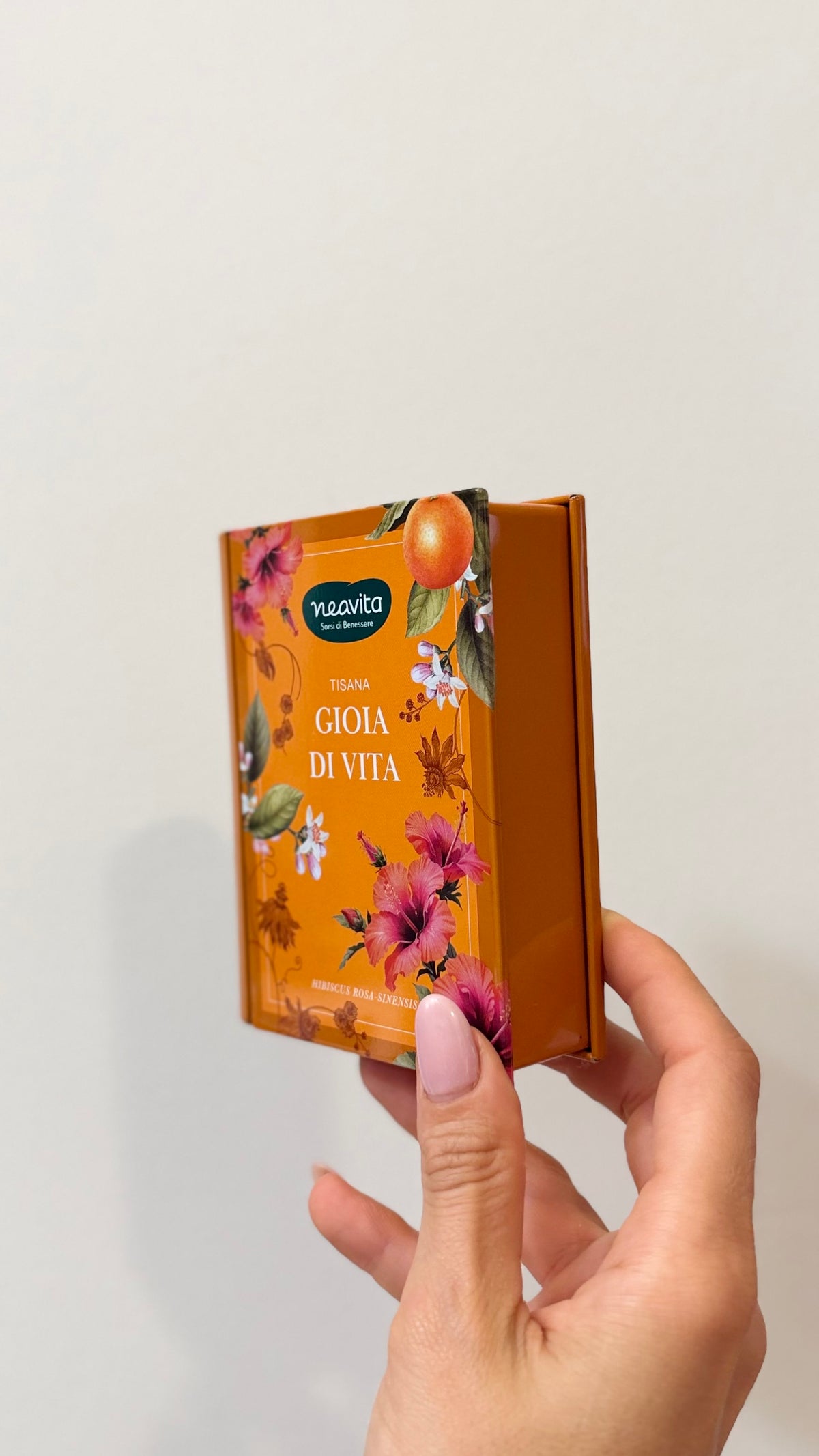 MINI LIBRO RITUALI BOTANICI, Infuso Gioia di vita, 5 filtroscrigno