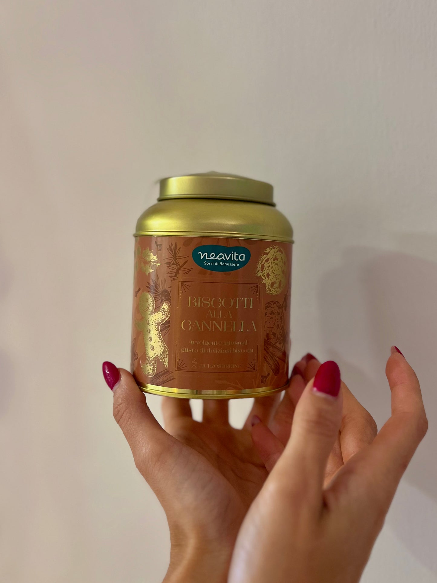 INFUSO BISCOTTI ALLA CANNELLA 15 FILTROSCRIGNO