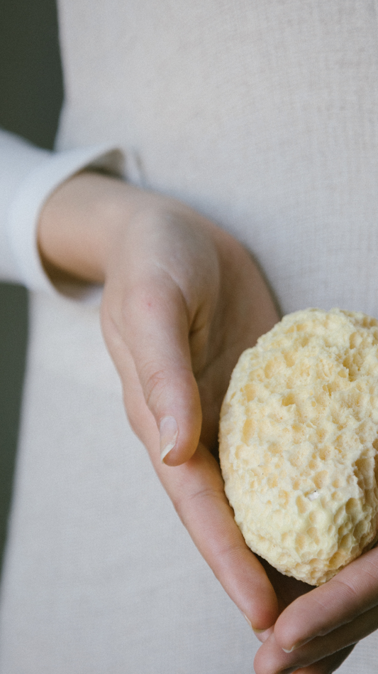 SPUGNA NATURALE MAR MEDITERRANEO FINE DAMA