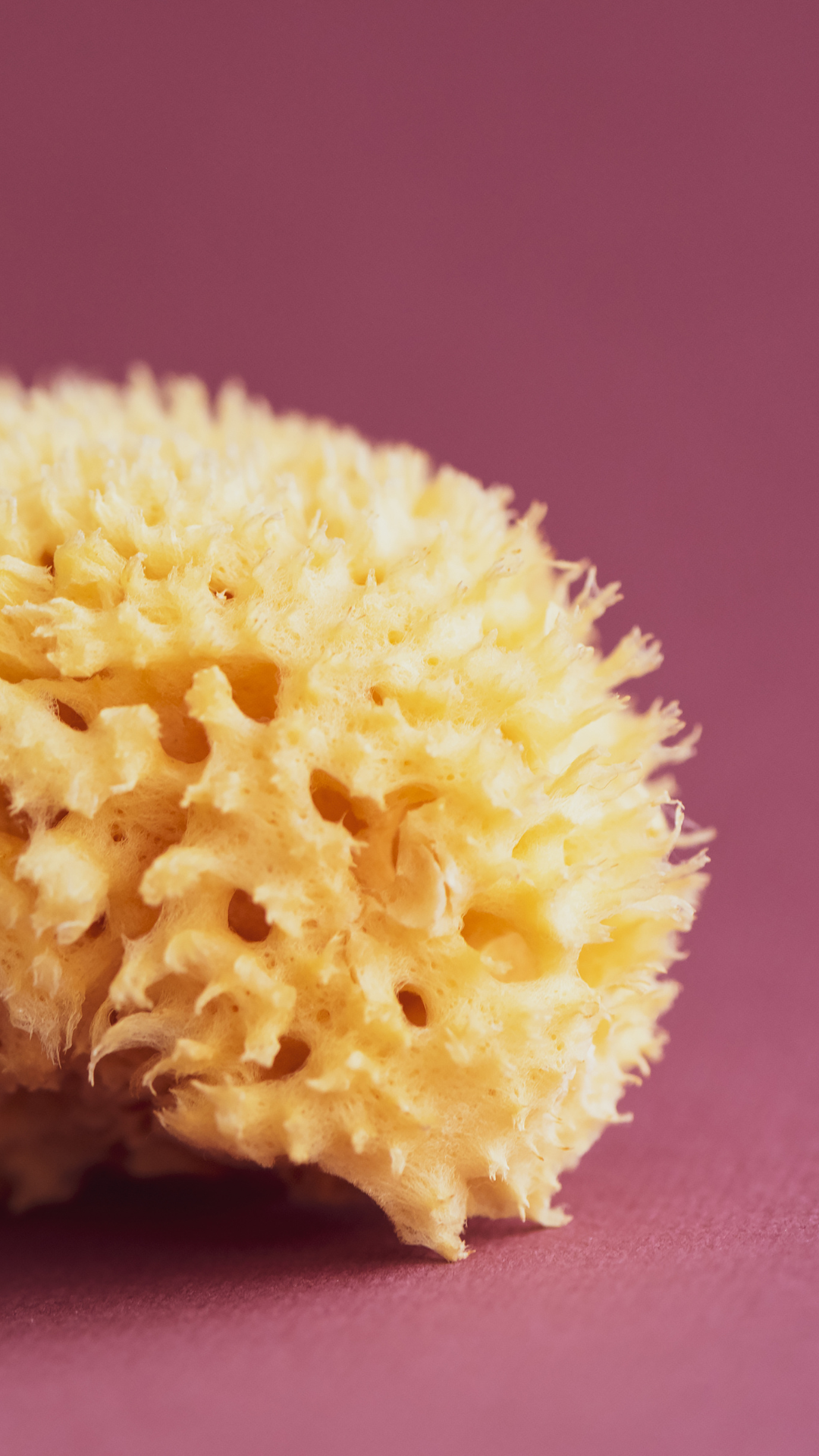 SPUGNA NATURALE MAR MEDITERRANEO FINE DAMA