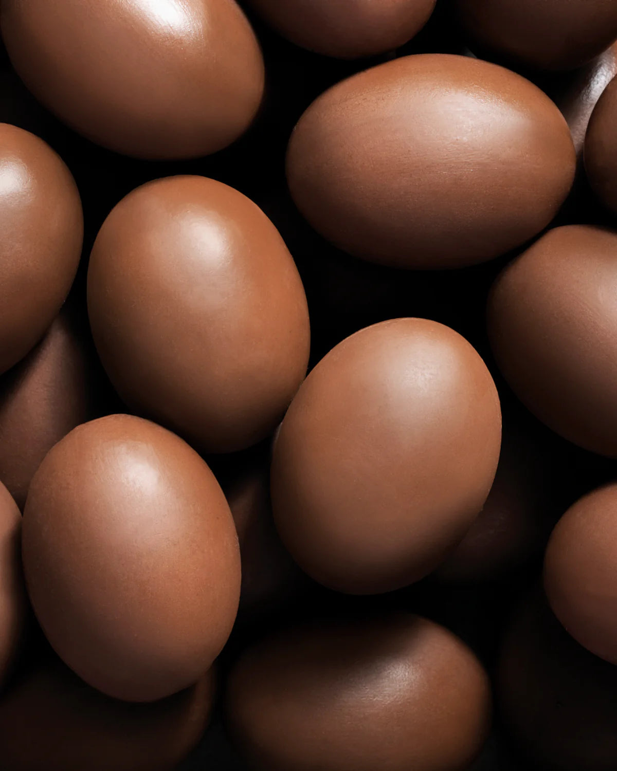 LEONE UOVO DI LATTA CON OVETTI DI CIOCCOLATO AL LATTE 150gr