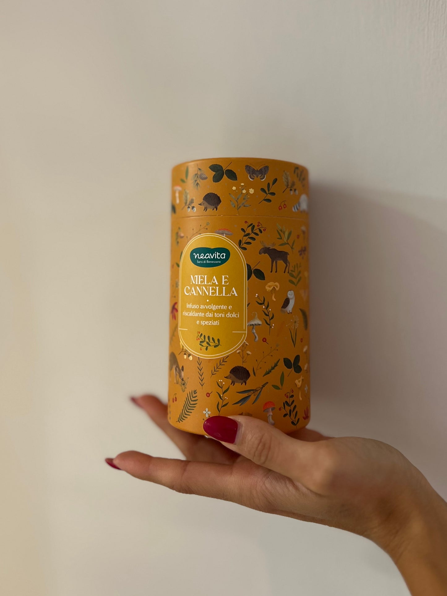 SCATOLA CILINDRO-MELA E CANNELLA 10 FILTROSCRIGNO