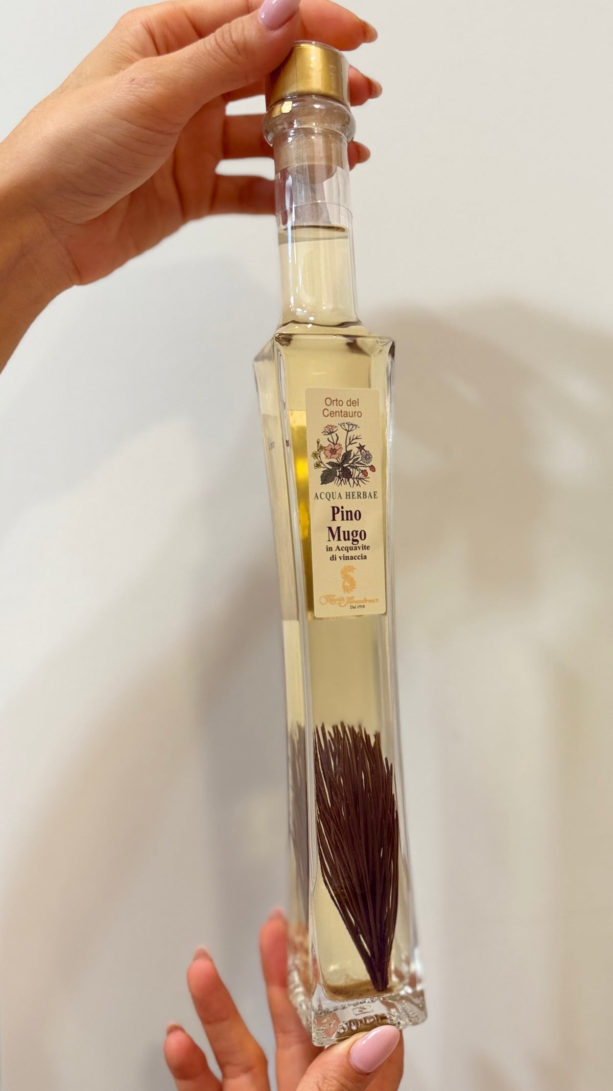 AQUA HERBAE – LIQUORE ALLE ERBE OFFICINALI 20 CL, Pino mugo