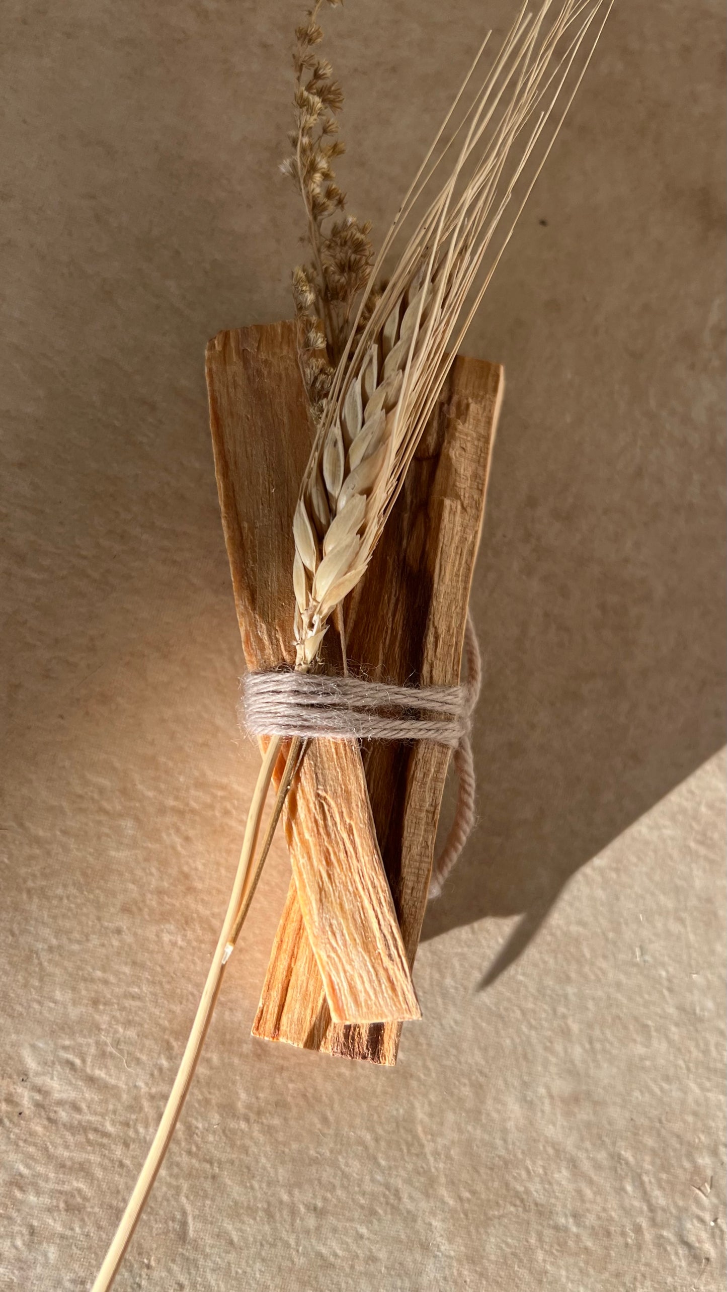 PALO SANTO KIT DUE LEGNETTI