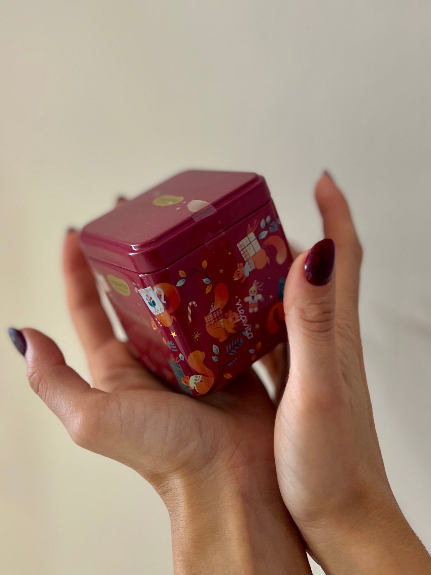 BARATTOLINO CADDY ROSSO CON INFUSO ARANCIA E CANNELLA