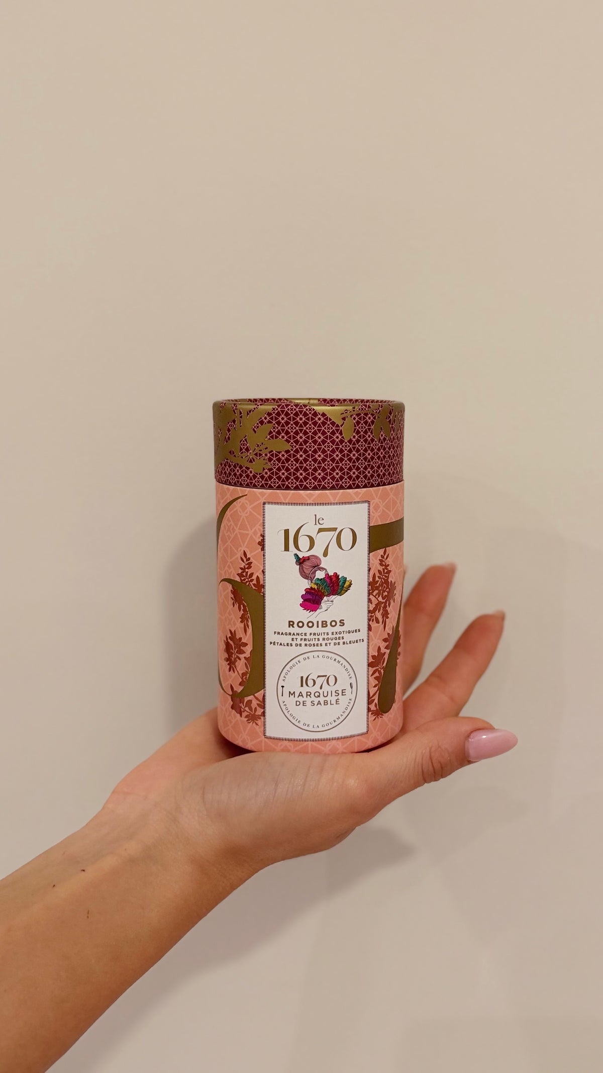 ROOIBOS 1670 AI FRUTTI ROSSI e PETALI DI ROSA