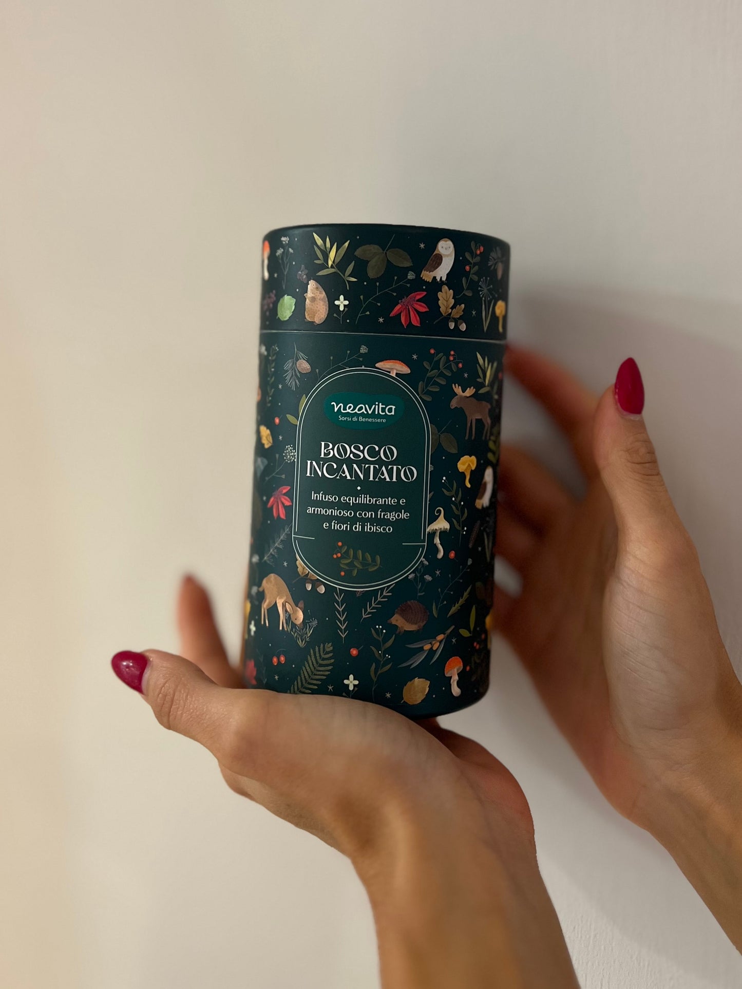 SCATOLA CILINDRO-BOSCO INCANTATO 10 FILTROSCRIGNO