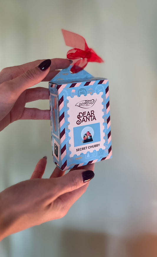 SCATOLINA DEAR SANTA CON CHUBBY ILLUMINANTE E TEMPERINO