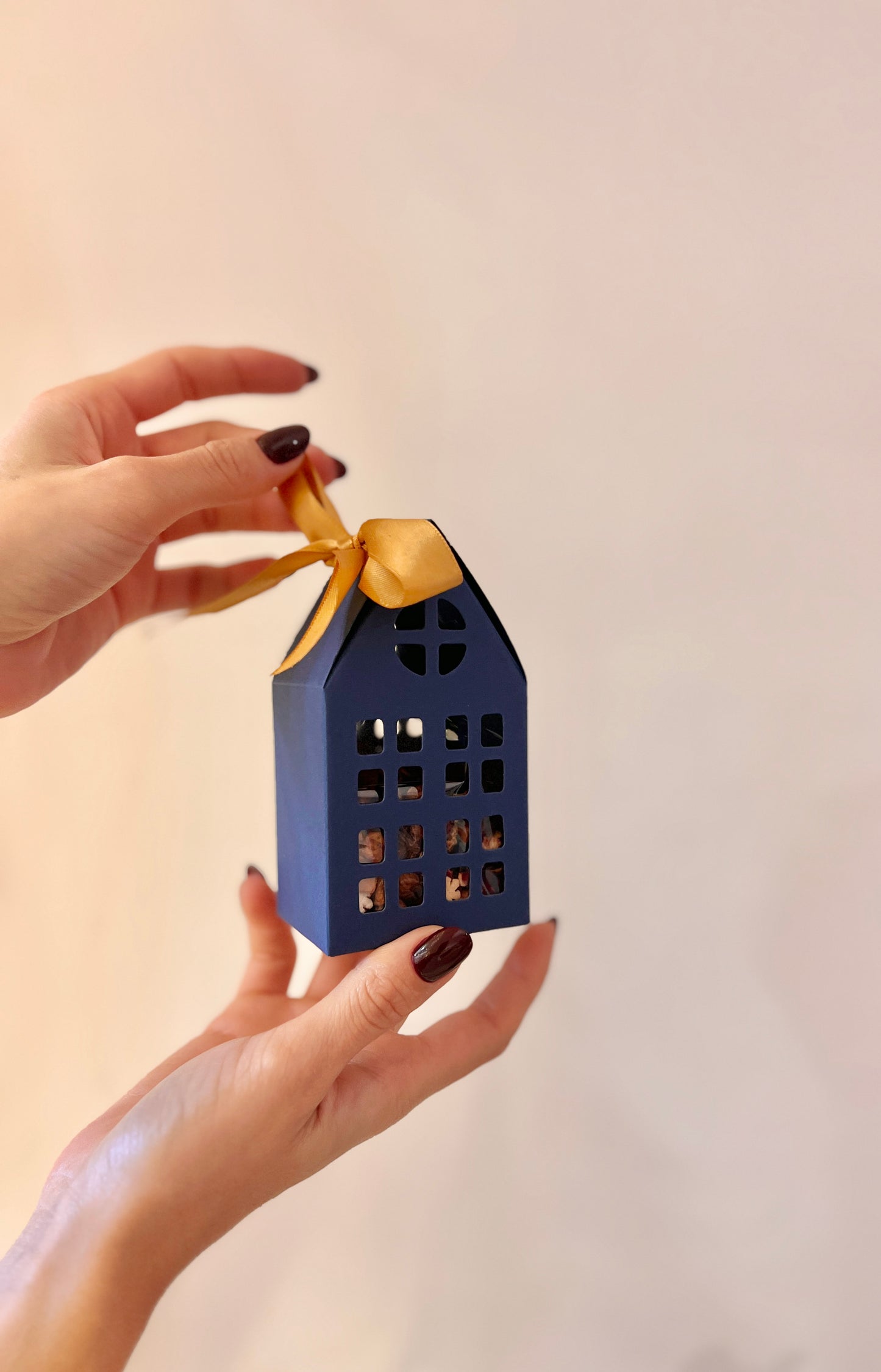 CASETTA BLU “INFUSIONE DE NOEL”