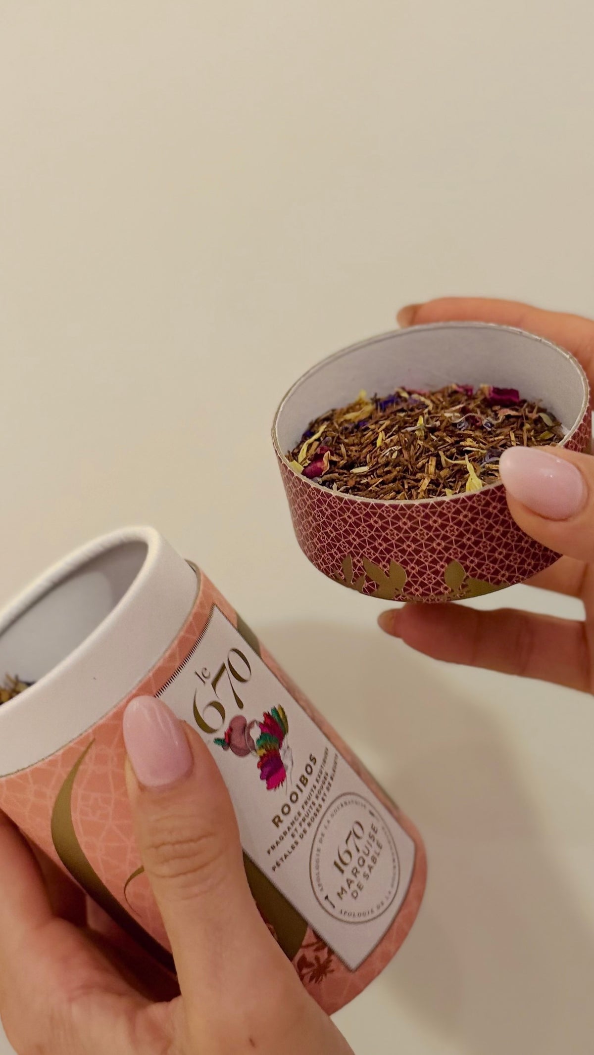 ROOIBOS 1670 AI FRUTTI ROSSI e PETALI DI ROSA