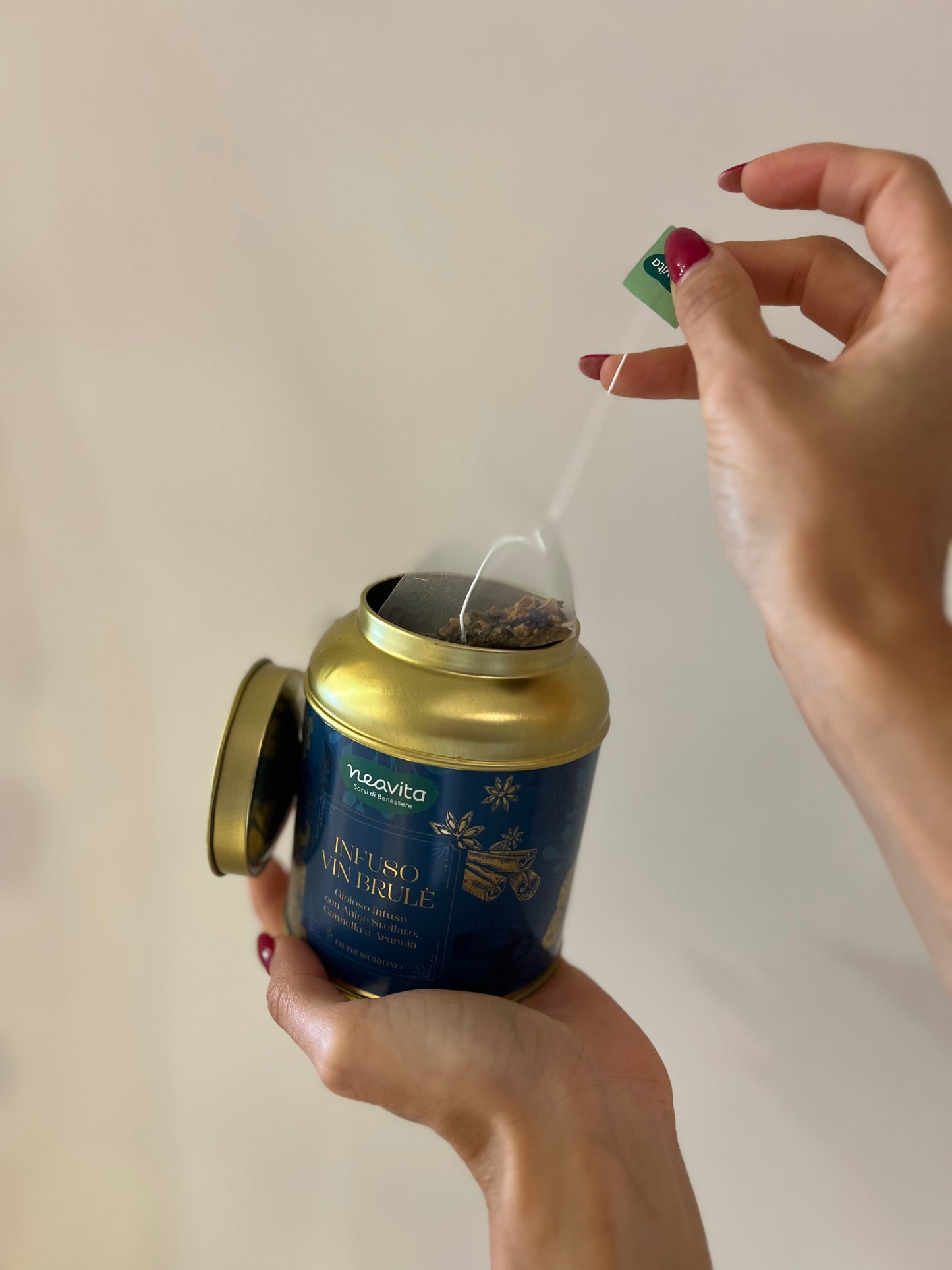 INFUSO VIN BRULE IN LATTA 15 FILTROSCRIGNO