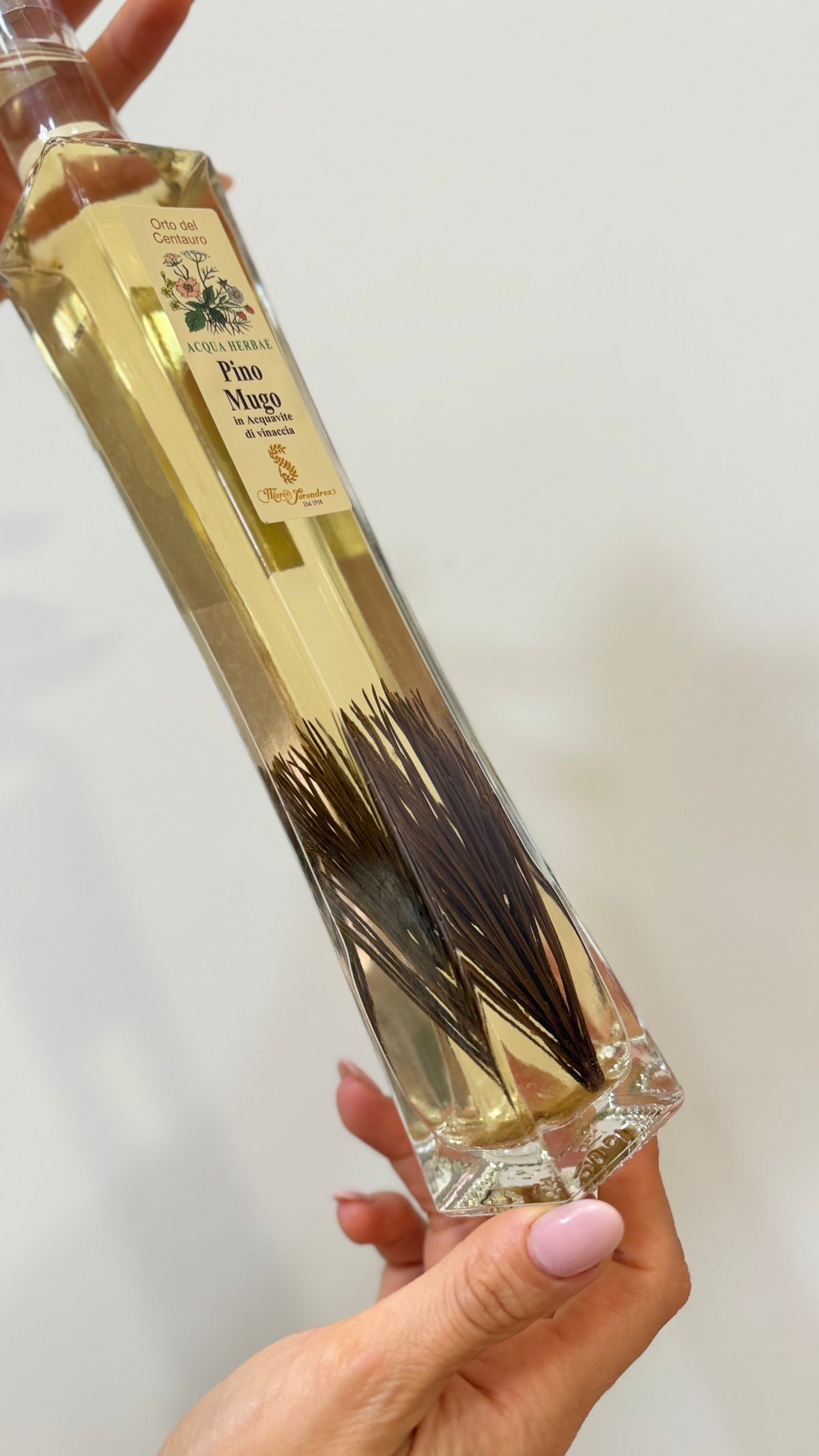 AQUA HERBAE – LIQUORE ALLE ERBE OFFICINALI 20 CL, Pino mugo