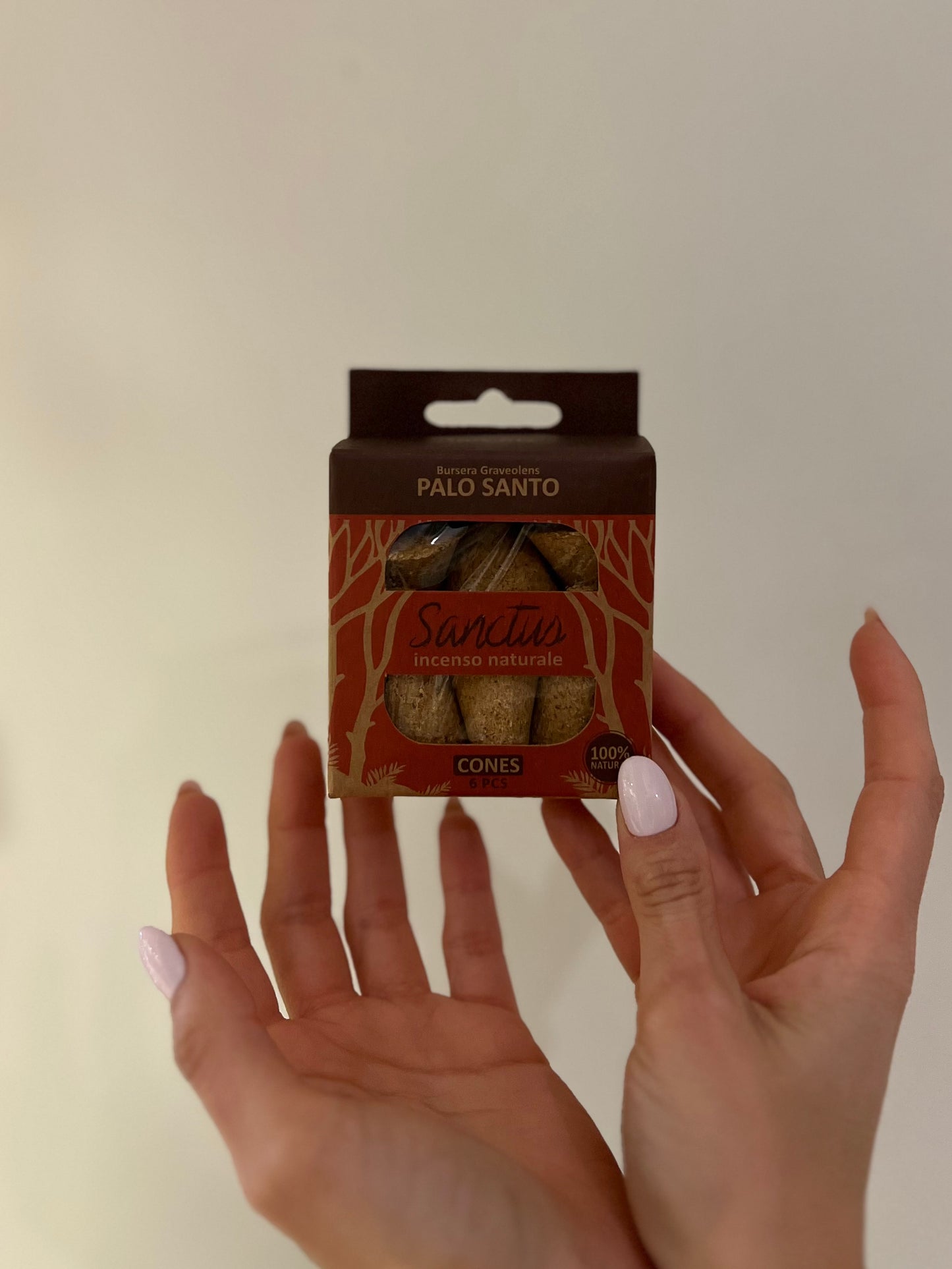 CONI DI PALO SANTO
