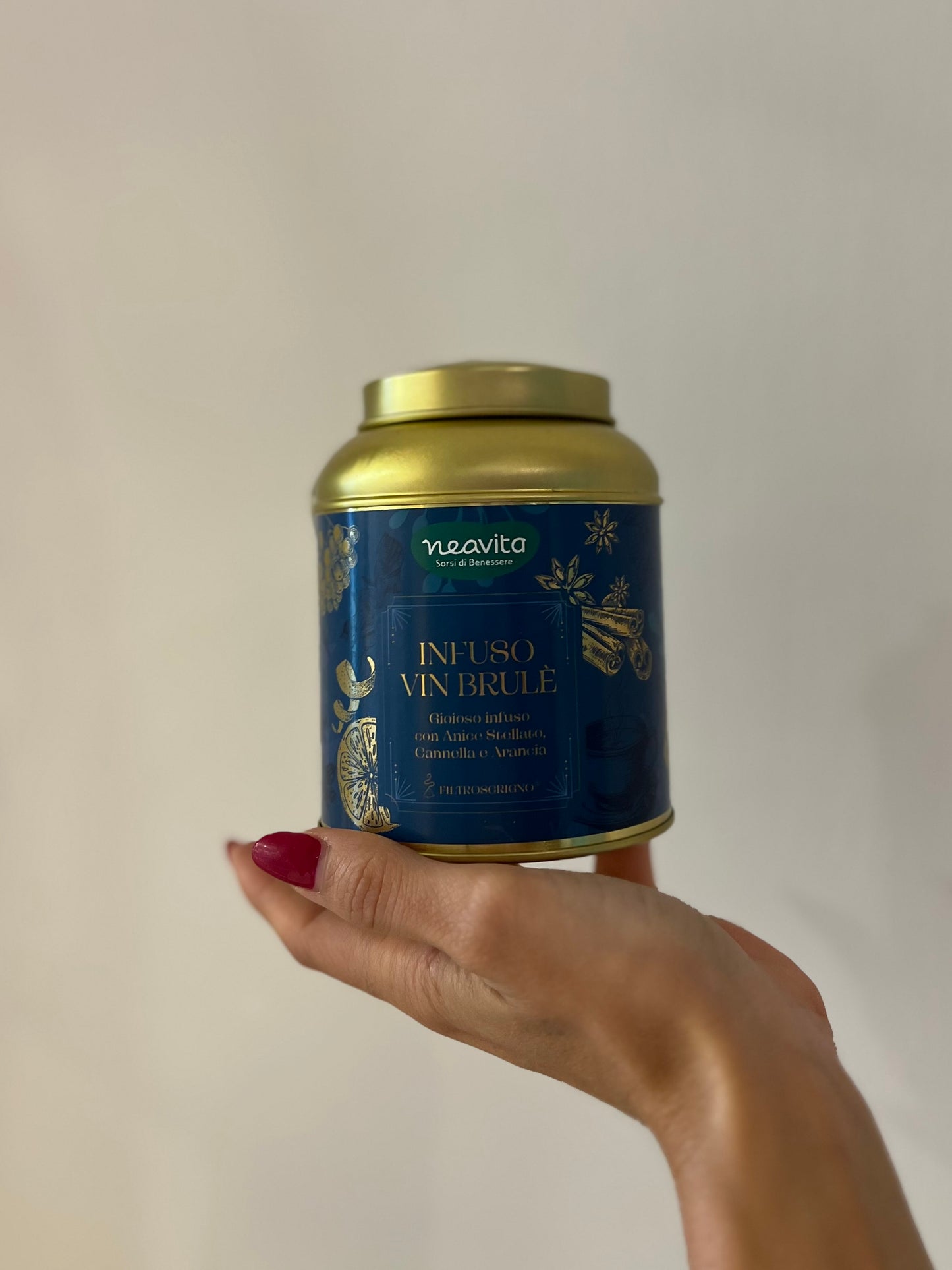 INFUSO VIN BRULE IN LATTA 15 FILTROSCRIGNO