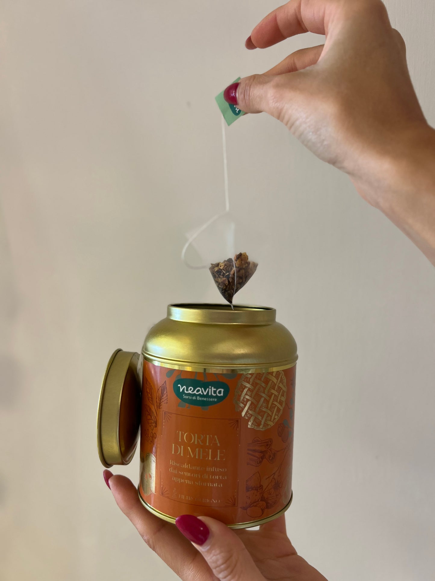 INFUSO TORTA DI MELE 15 FILTROSCRIGNO