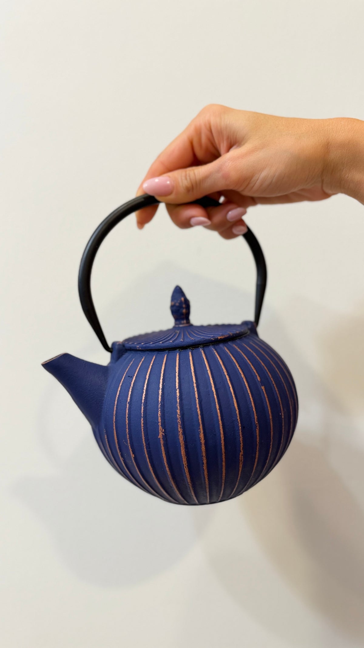 TEIERA IN GHISA, Nago Blu 800ml